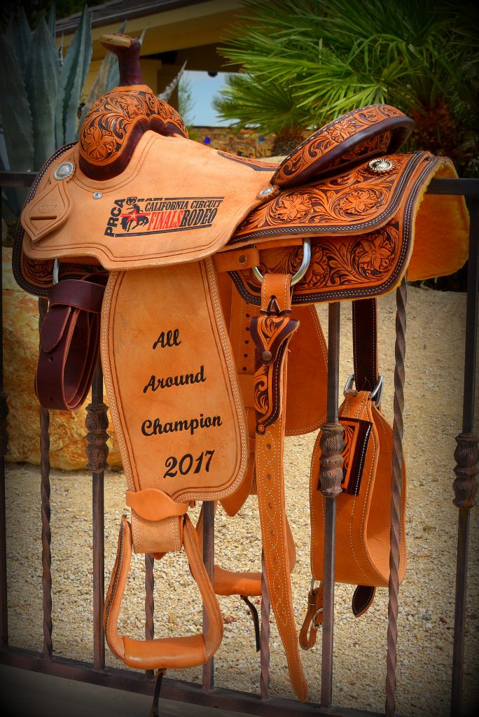 2017 Year End All-Around Champion's Saddle