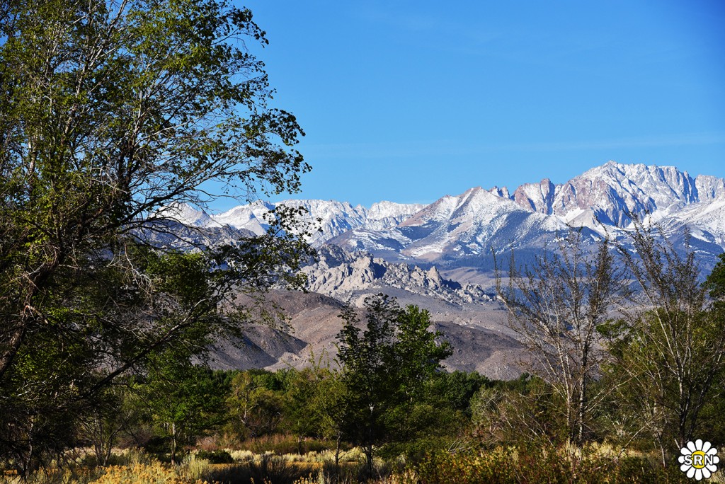 Beautiful Bishop California