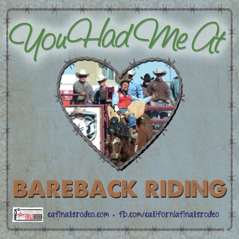 New to Rodeo?  Learn about Bareback Riding!