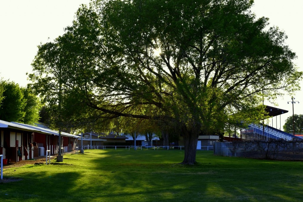 Eastern Sierra Tri-County Fairgrounds